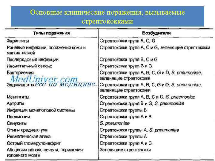 Современные рекомендации по стрептококковой инфекции
