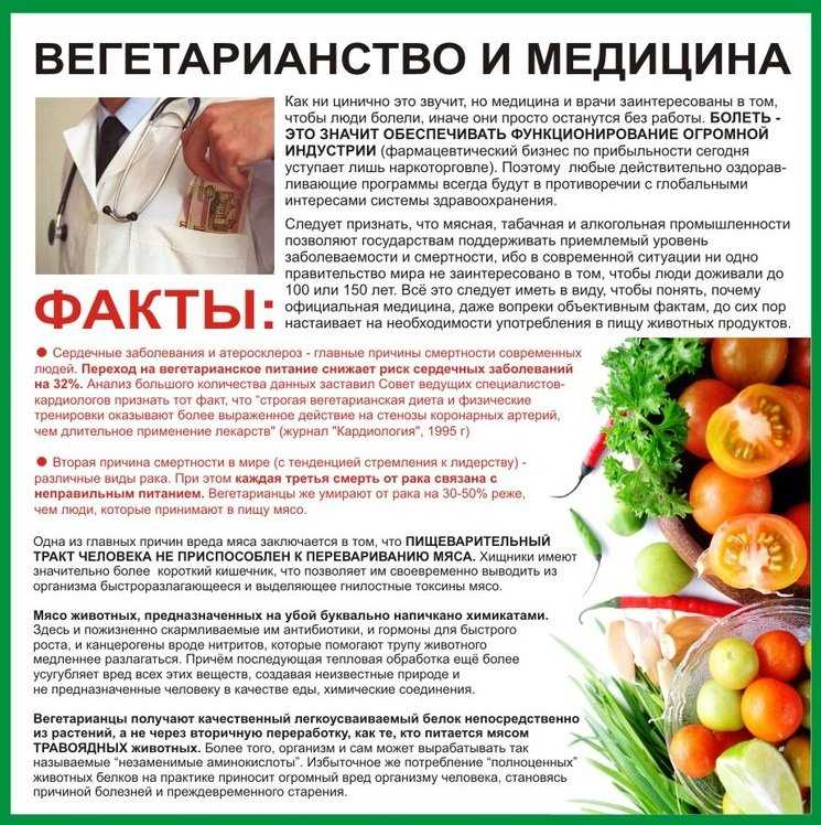 Выводы
