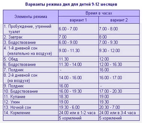 Режим дня ребенка 8 месяцев на искусственном вскармливании