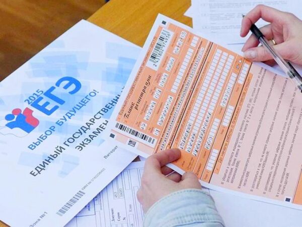 Курсы подготовки к ЕГЭ: всё, что нужно знать